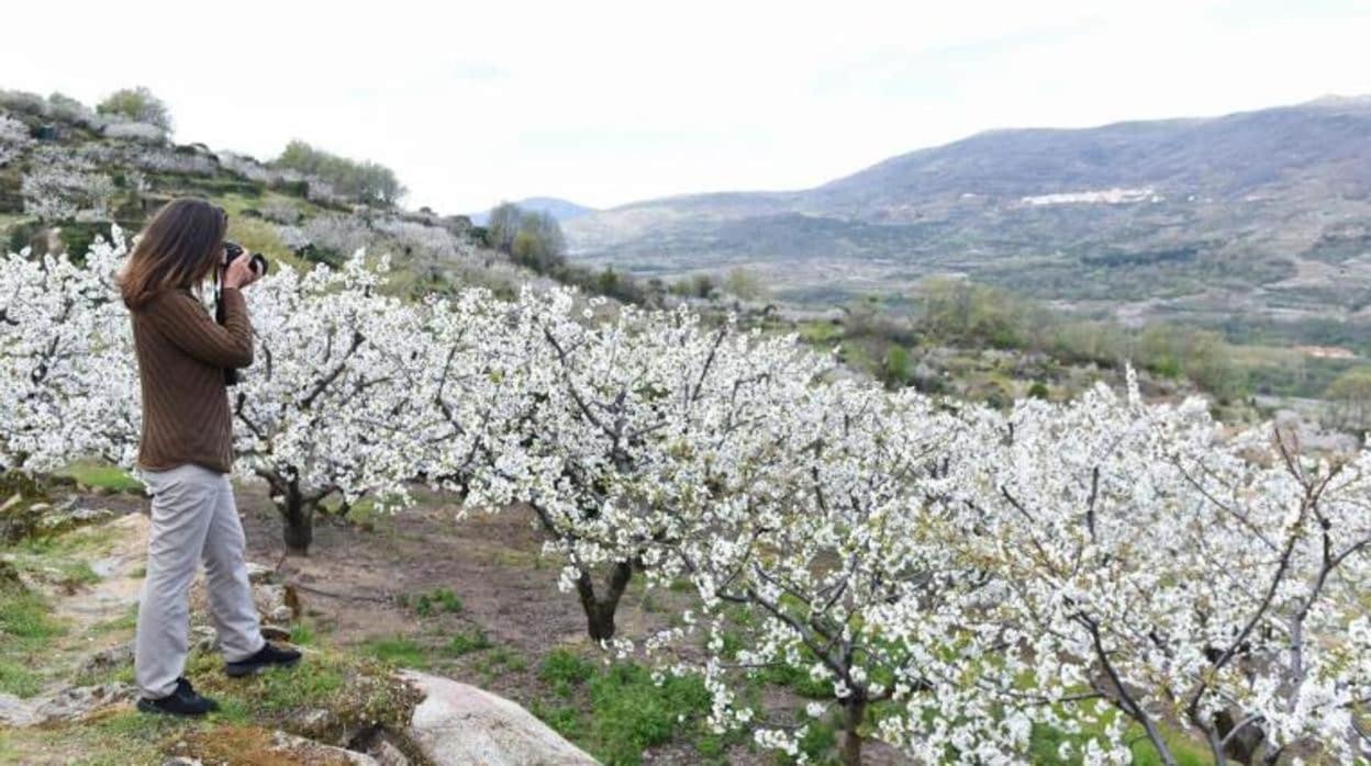 El Rincon De Markesa Plasencia Ngoại thất bức ảnh